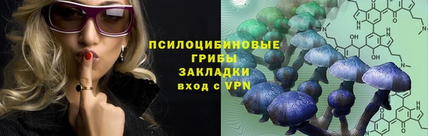 гашик Богородицк