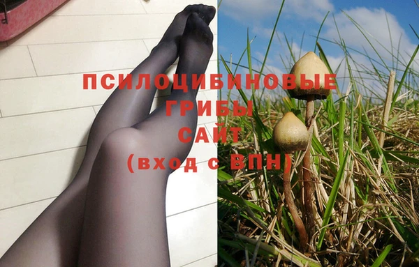 МДПВ Богородск