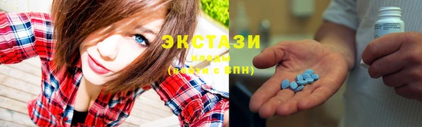 МДПВ Богородск