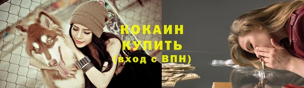 гашик Богородицк