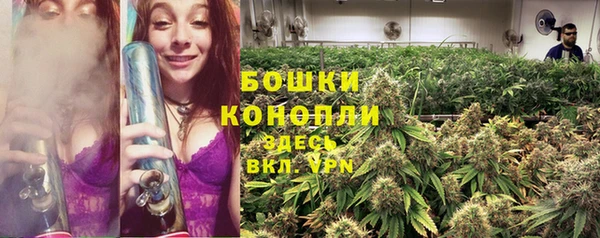 первитин Богданович