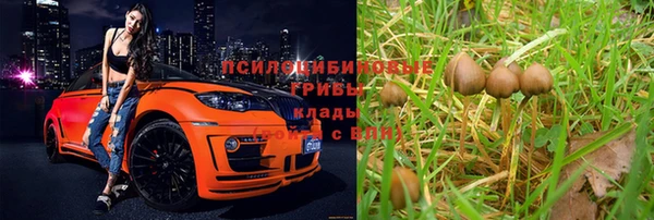 гашик Богородицк