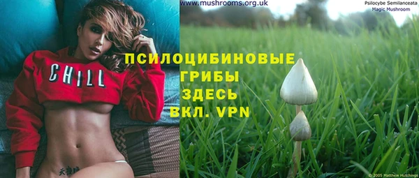 гашик Богородицк