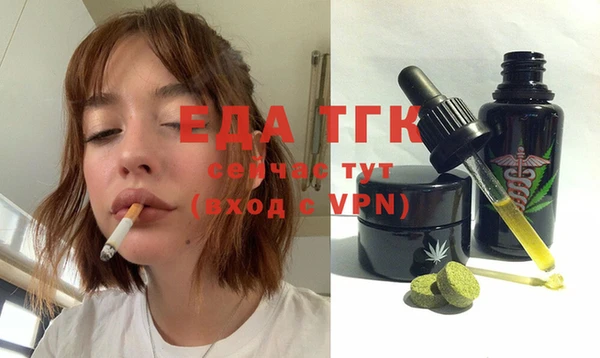 гашик Богородицк