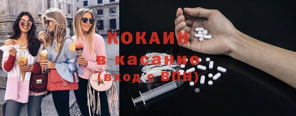 гашик Богородицк