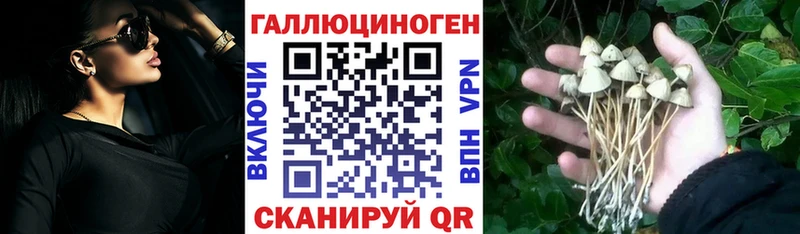 Галлюциногенные грибы MAGIC MUSHROOMS  Михайловск 